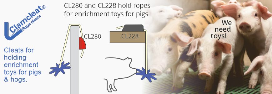 Cleats for holding enrichment toys for pigs and hogs