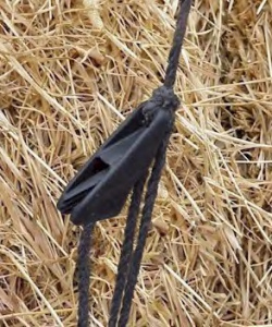 agriculture