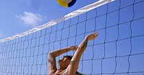 Sports Nets