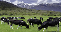 Agriculture